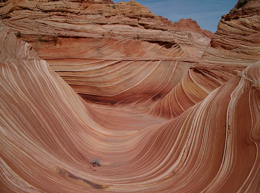 The Wave
