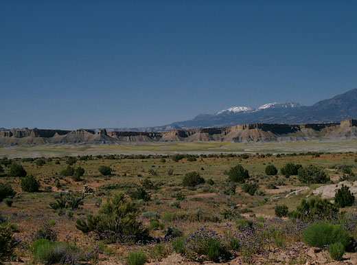 Burr Trail