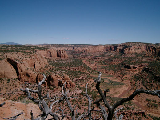 Blick über das Tal im Navajo National Monument
