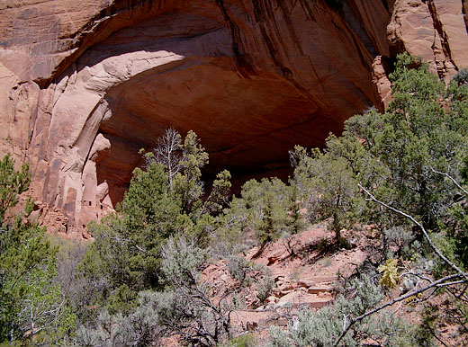 Betatakin Ruinen Alkoven im Navajo National Monument