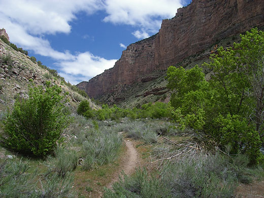 Jones Hole Trail