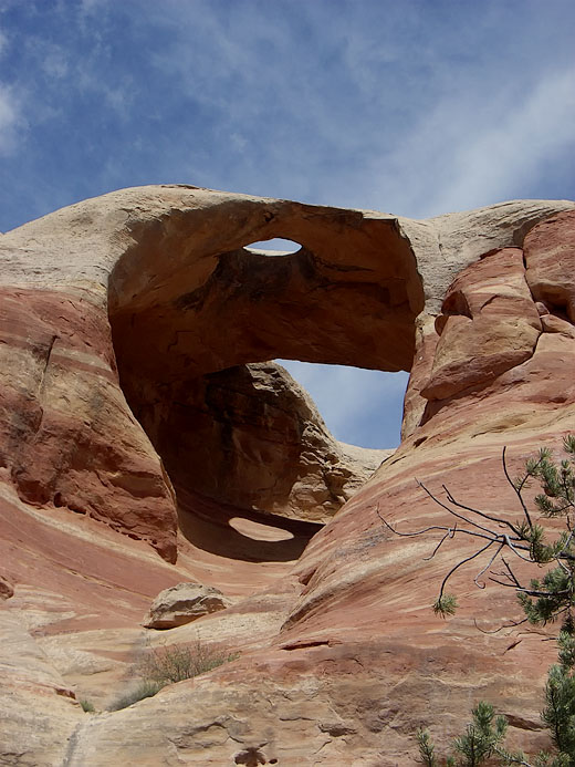 Rattlesnake Canyon