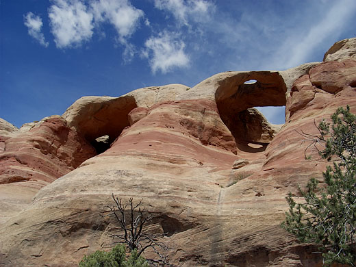 Rattlesnake Canyon