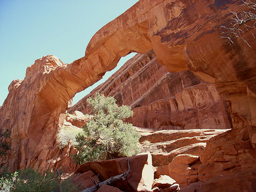 Wall Arch