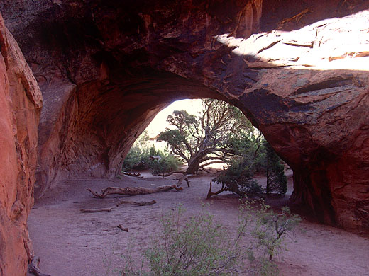 Navajo Arch