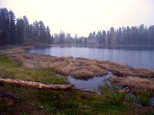 Posey Lake