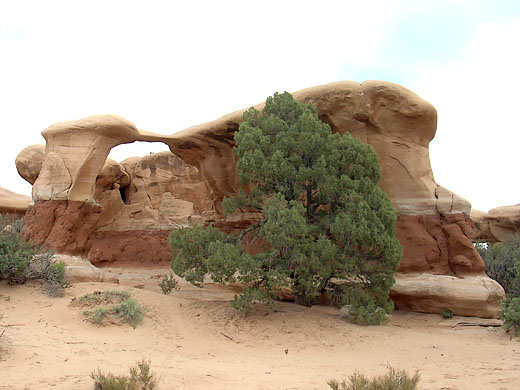 Devils Garden