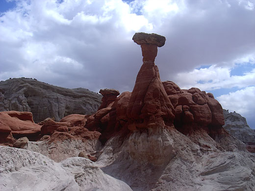 Toadstool Hoodoo