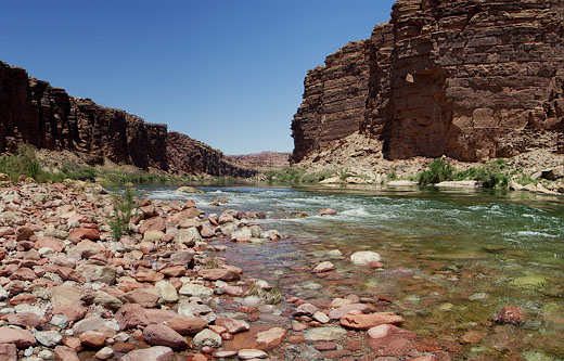Colorado River am Cathedral Wash