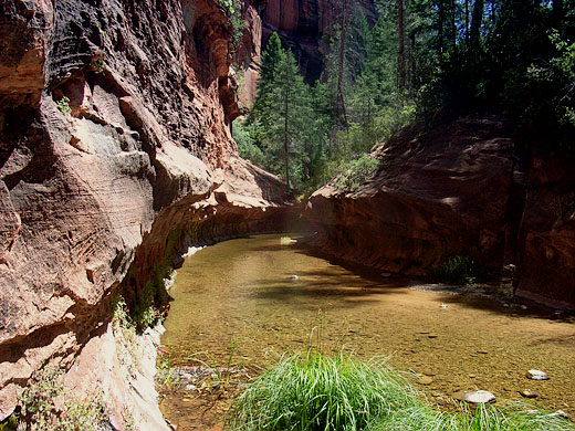 West Fork Oak Creek Trail Sedona